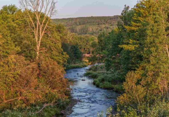 River Philip ved det planlagte Cabot Wilds i Nova Scotia.