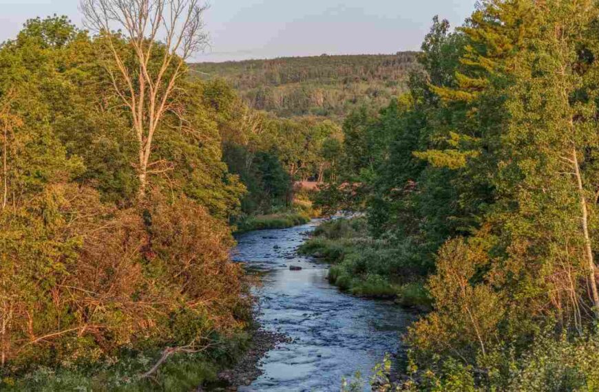 River Philip ved det planlagte Cabot Wilds i Nova Scotia.