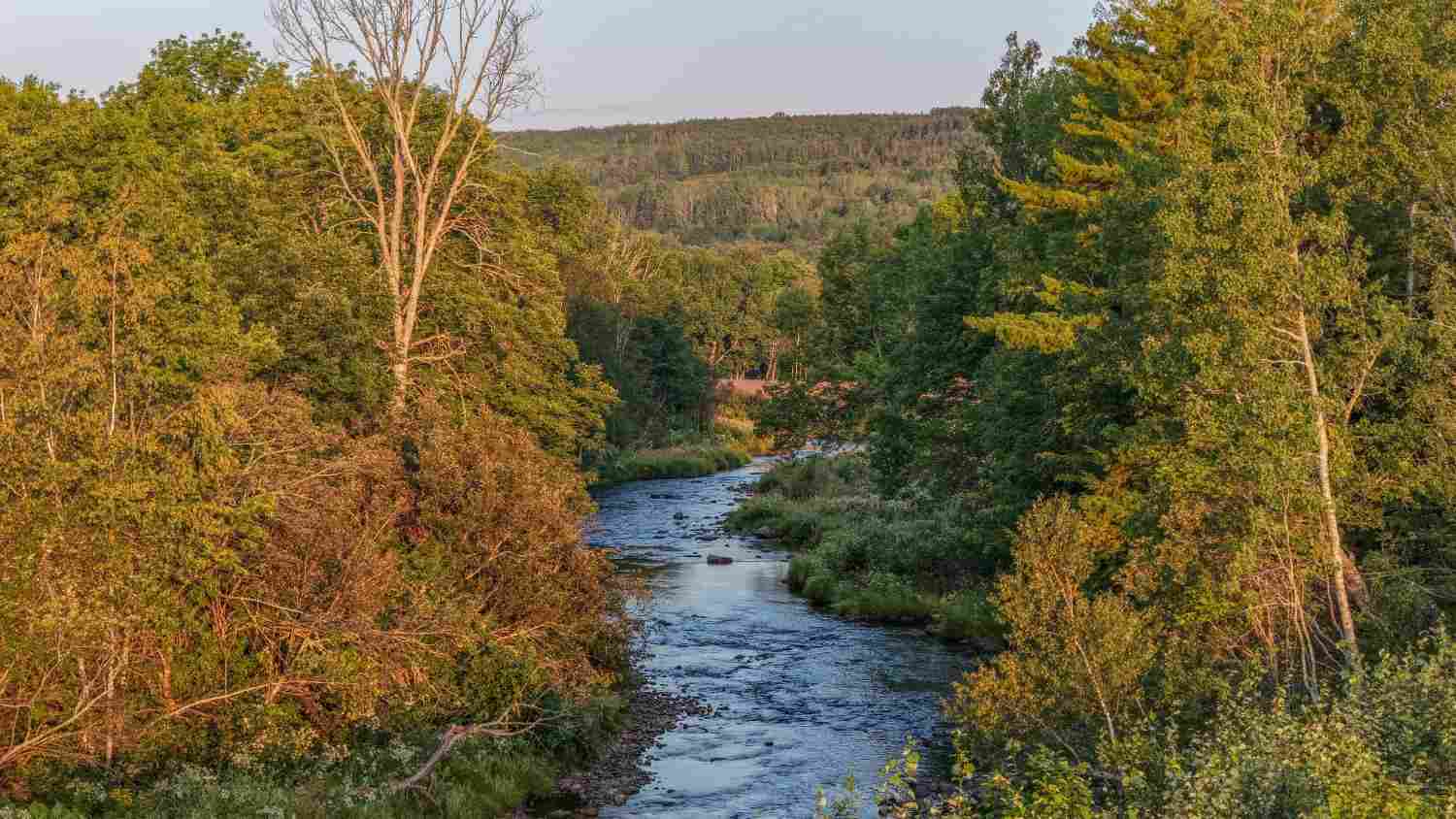 River Philip ved det planlagte Cabot Wilds i Nova Scotia.