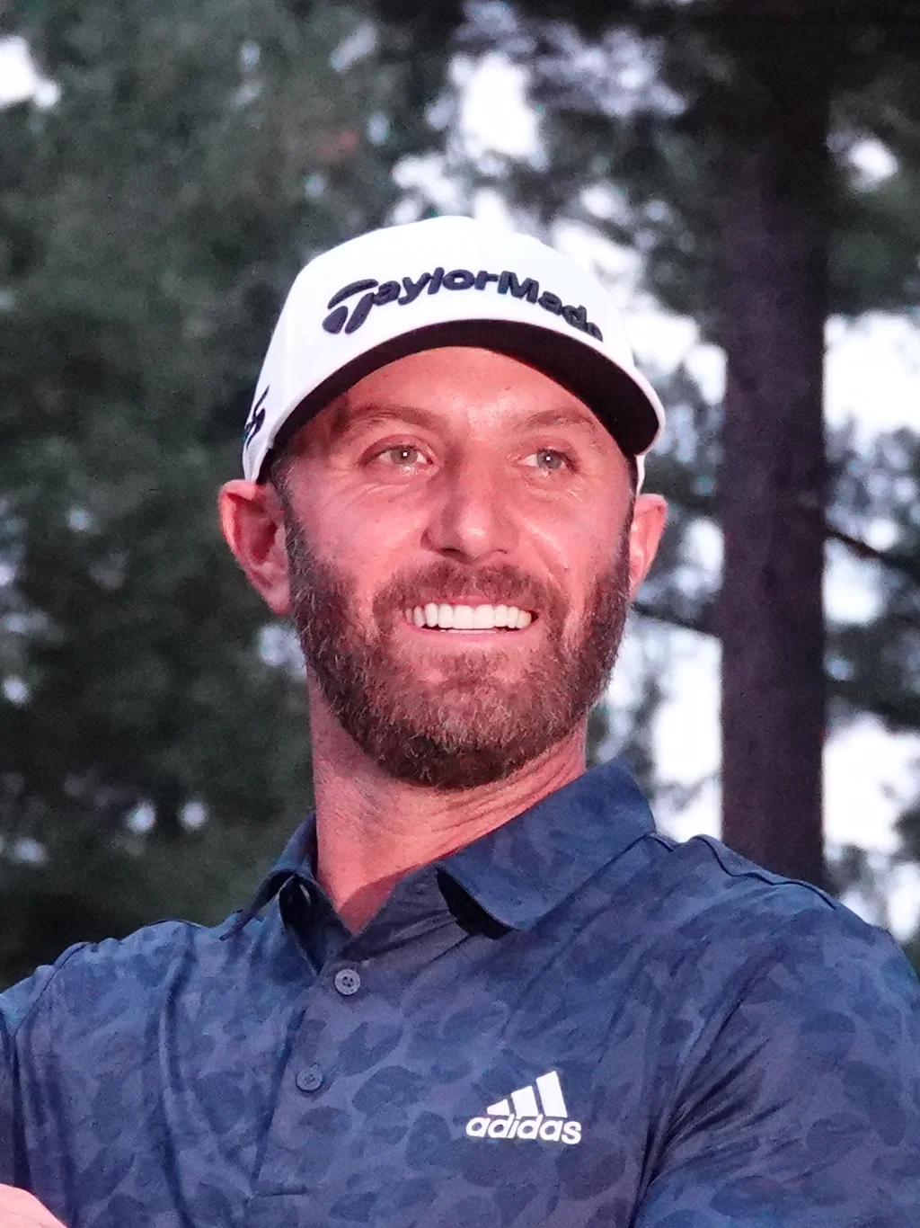 Dustin Johnson. Illustrasjonsfoto.
